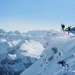 Arcula Flims
