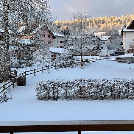 Arcula * Flims
