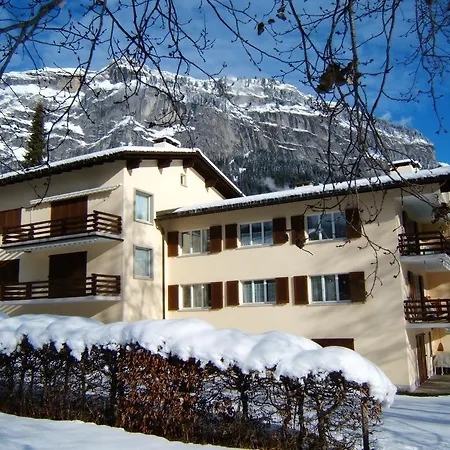 Arcula Flims