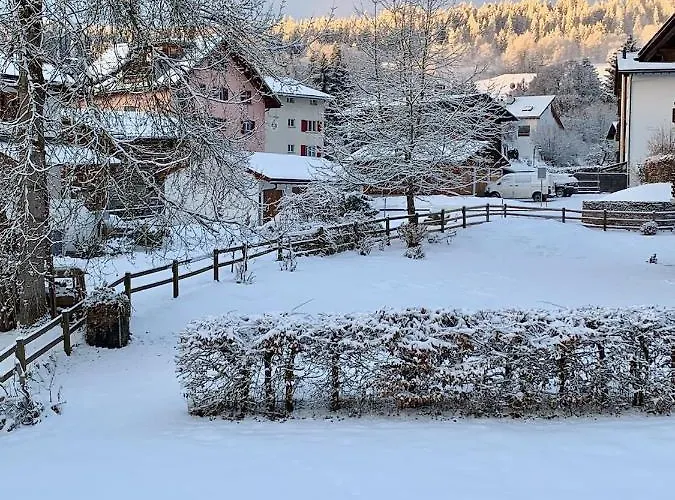 Arcula * Flims